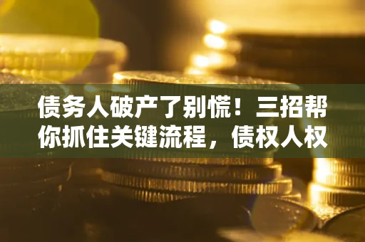 武汉债务人破产了别慌！三招帮你抓住关键流程，债权人权益不再缩水