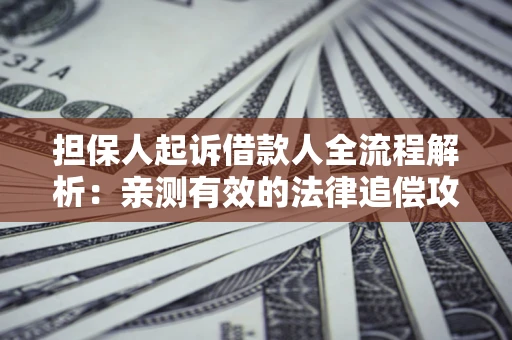 武汉担保人起诉借款人全流程解析：亲测有效的法律追偿攻略
