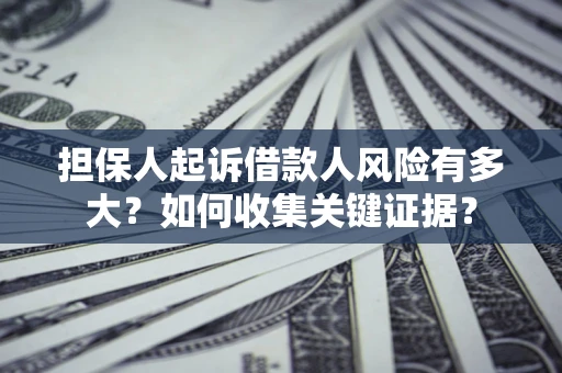 武汉担保人起诉借款人风险有多大？如何收集关键证据？