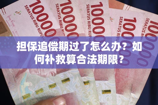 武汉担保追偿期过了怎么办？如何补救算合法期限？
