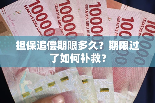 武汉担保追偿期限多久？期限过了如何补救？