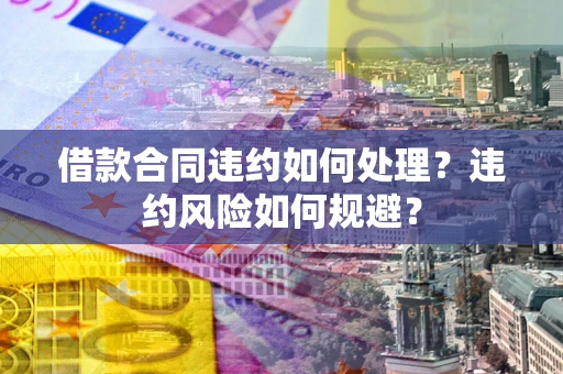 武汉借款合同违约如何处理？违约风险如何规避？