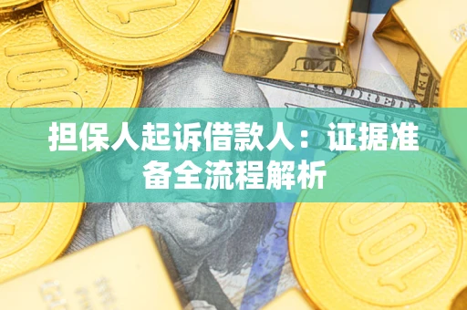 武汉担保人起诉借款人：证据准备全流程解析