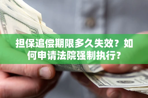武汉担保追偿期限多久失效？如何申请法院强制执行？
