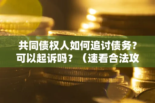 武汉共同债权人如何追讨债务？可以起诉吗？（速看合法攻略）