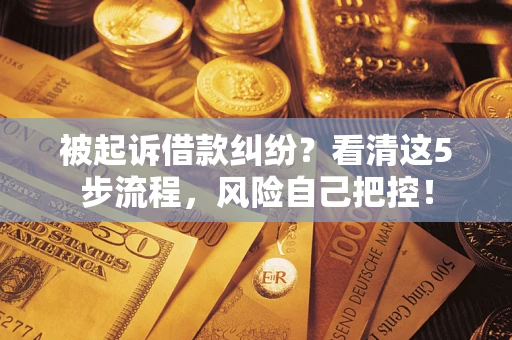 武汉被起诉借款纠纷？看清这5步流程，风险自己把控！
