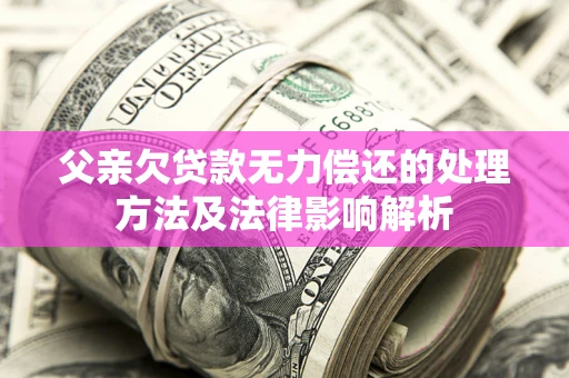 武汉父亲欠贷款无力偿还的处理方法及法律影响解析