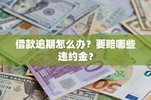 武汉借款逾期怎么办？要赔哪些违约金？